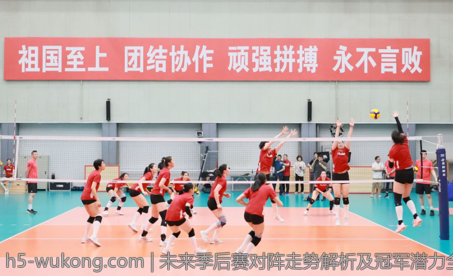 未来季后赛对阵走势解析及冠军潜力全面评估