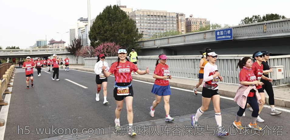 德甲球队阵容深度与核心球员介绍