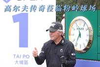 这一决定背